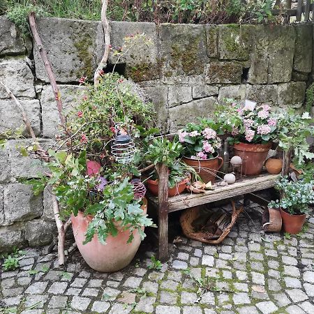 Appartamento Auszeit Freital Esterno foto