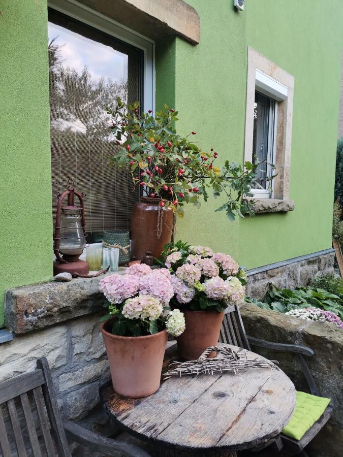 Appartamento Auszeit Freital Esterno foto