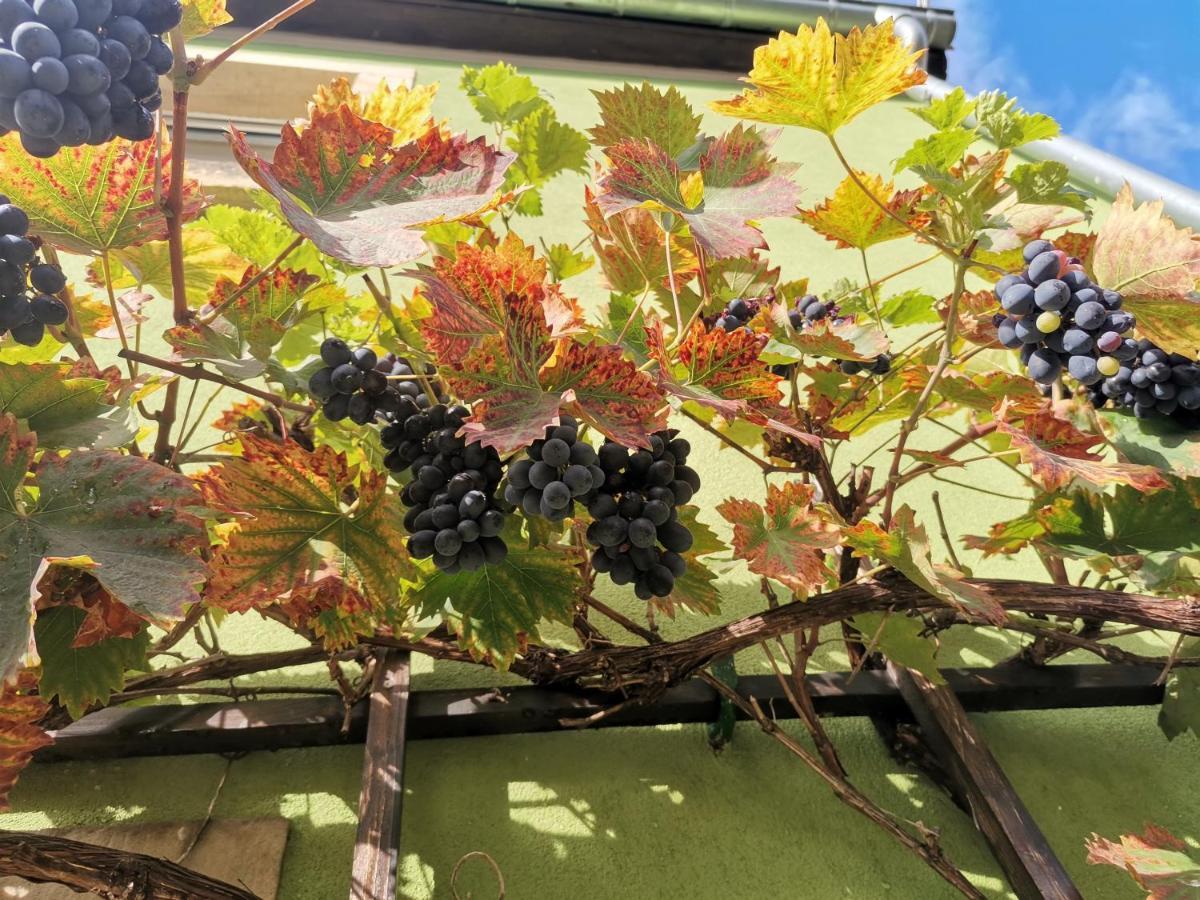 Appartamento Auszeit Freital Esterno foto