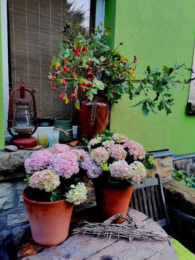 Appartamento Auszeit Freital Esterno foto