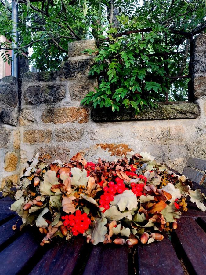 Appartamento Auszeit Freital Esterno foto
