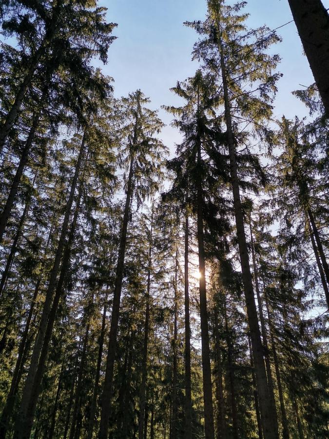 Appartamento Auszeit Freital Esterno foto